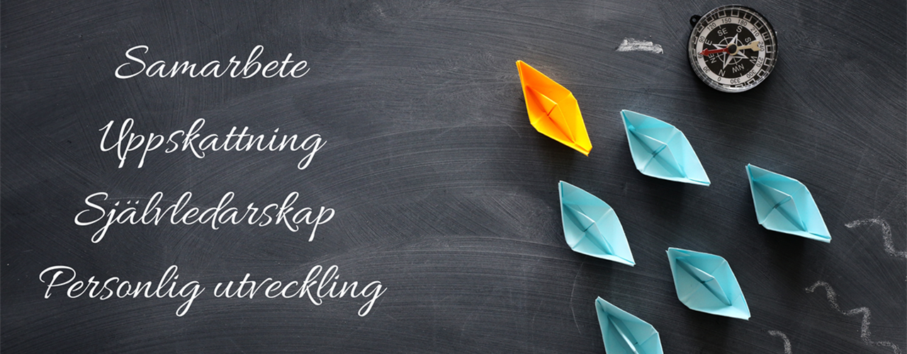 Samarbete-AgarVision