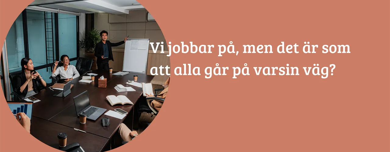 ÄgarVision-Väg-V23