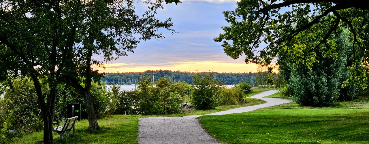Glad-sommar-AgarVision