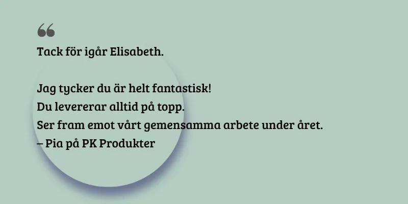 Referens-Pia-ÄgarVision
