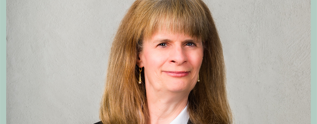 AgarVision-Affars-PT