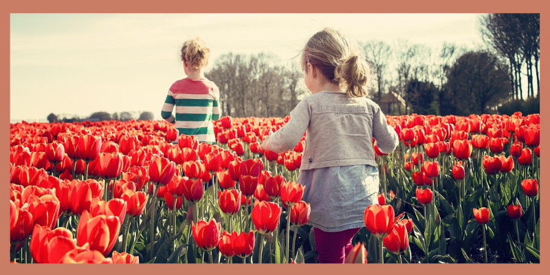 AgarVision-ledarskap