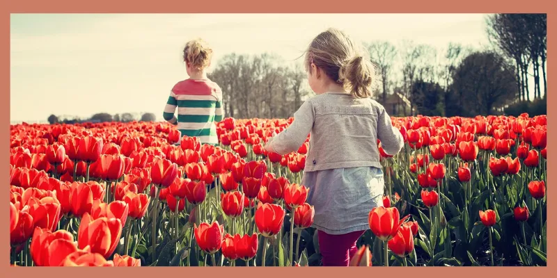 AgarVision-ledarskap