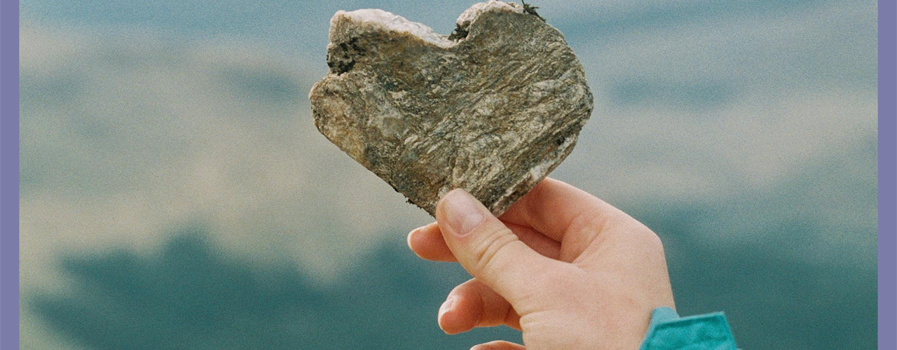 AgarVision-investerare-team