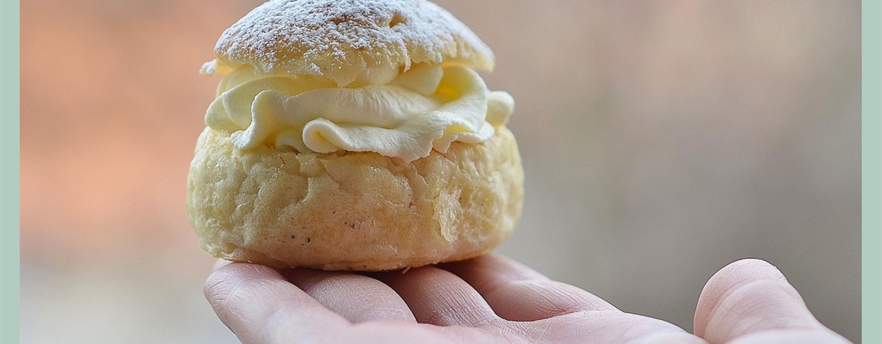 AgarVision-team-fira